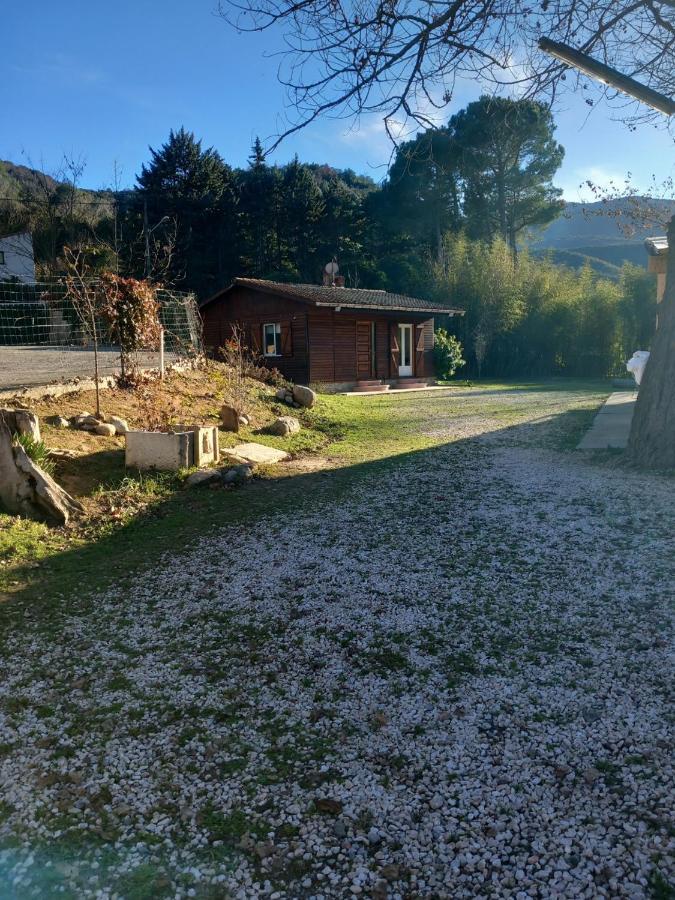 Petit Chalet En Bois Reynès Eksteriør bilde